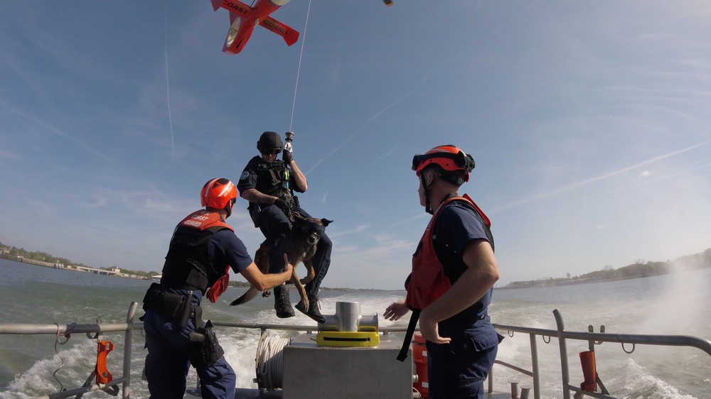 Coast Guard Canine Explosive Detection Team conducts hoist training