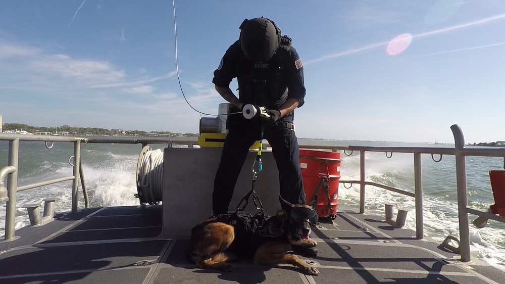 Coast Guard Canine Explosive Detection Team conducts hoist training