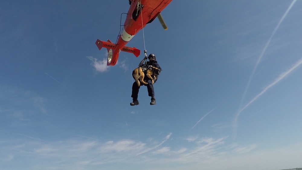 Coast Guard Canine Explosive Detection Team conducts hoist training