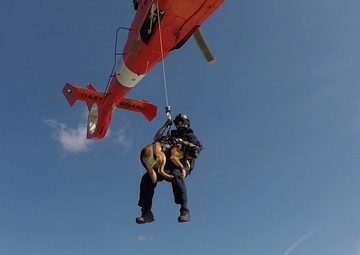 Coast Guard Canine Explosive Detection Team conducts hoist training