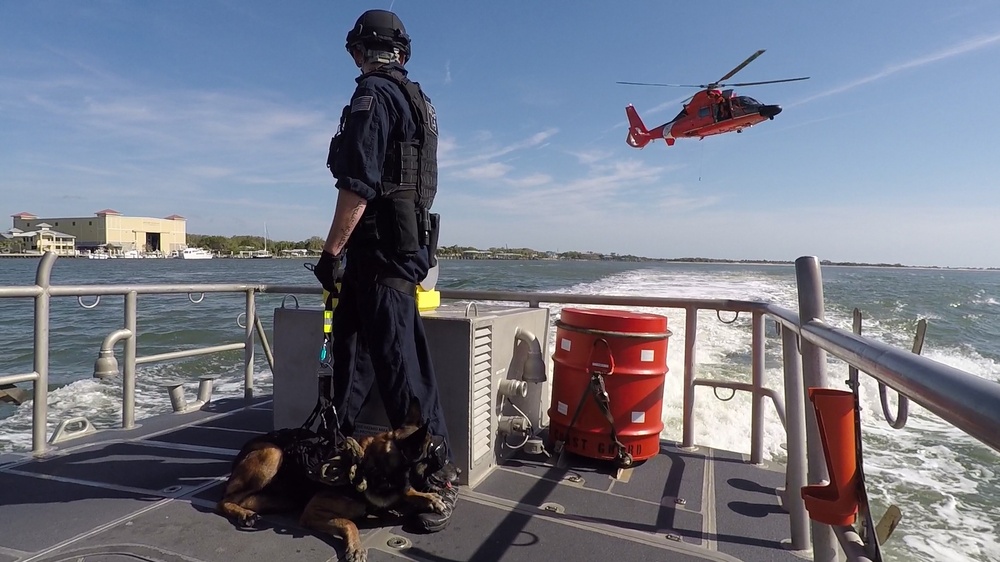 Coast Guard Canine Explosive Detection Team conducts hoist training