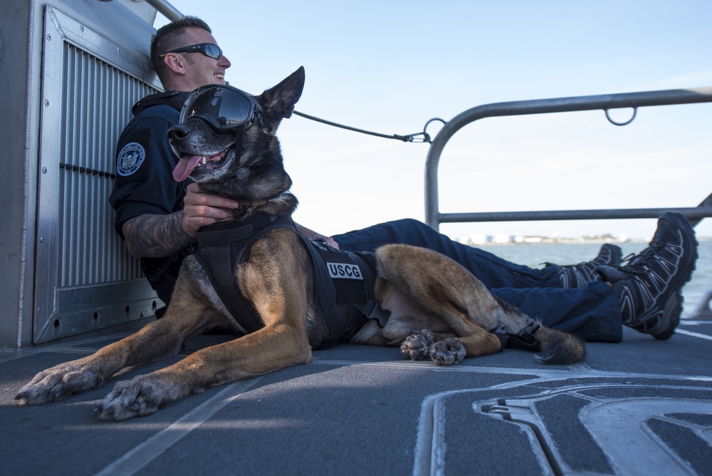 Coast Guard Canine Explosive Detection Team conducts hoist training