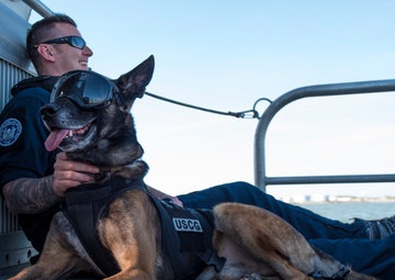 Coast Guard Canine Explosive Detection Team conducts hoist training