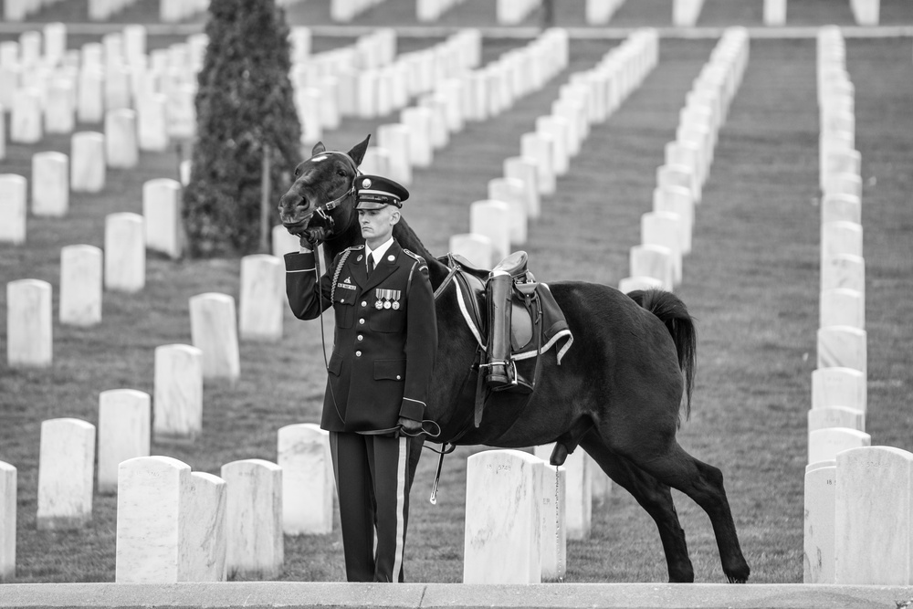 Full Honors Funeral for U.S. Army Col. Aleksander Einseln in Section 34