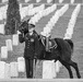 Full Honors Funeral for U.S. Army Col. Aleksander Einseln in Section 34