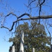 James Madison Wreath Laying