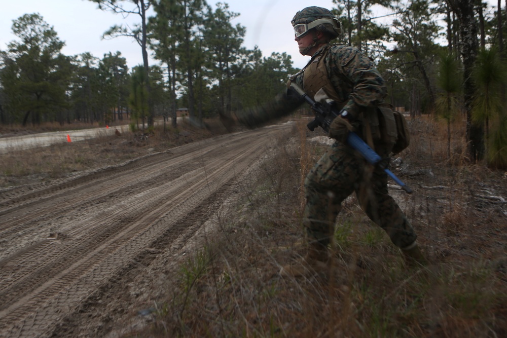 Taking aim: Marines from 2nd Marine Division prepare for deployment
