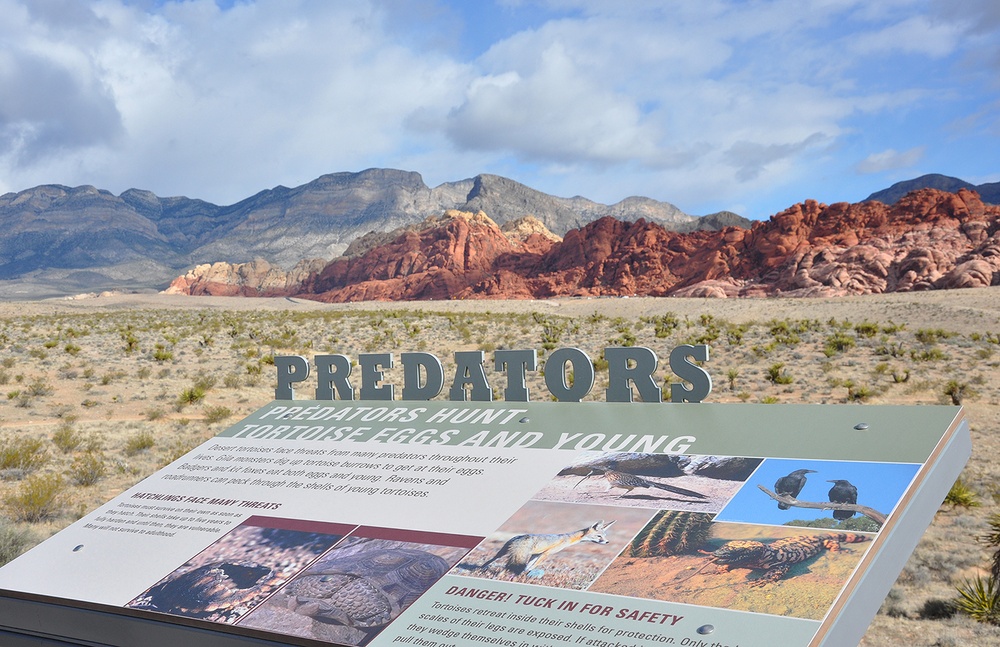 Geologists learn studying past holds keys to future during visit to Red Rock Canyon