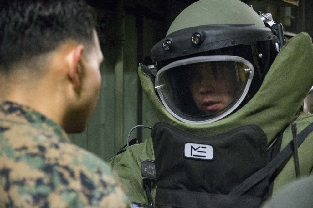 31st MEU EOD technicians practice IED sweep