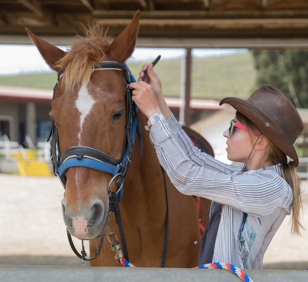 Stepp Stables private lessons
