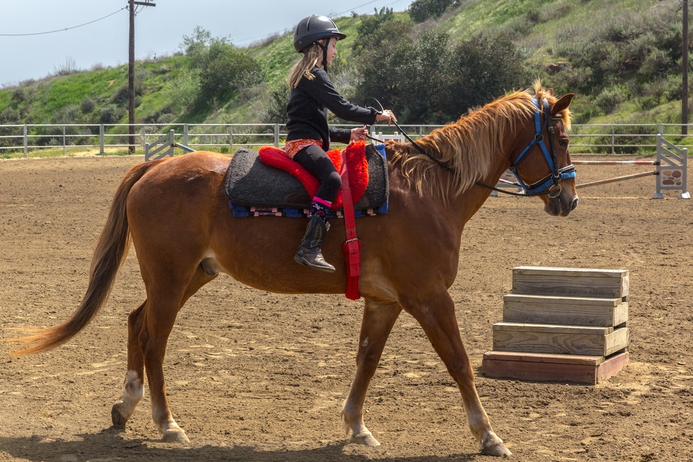 Stepp Stables private lessons
