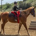 Stepp Stables private lessons