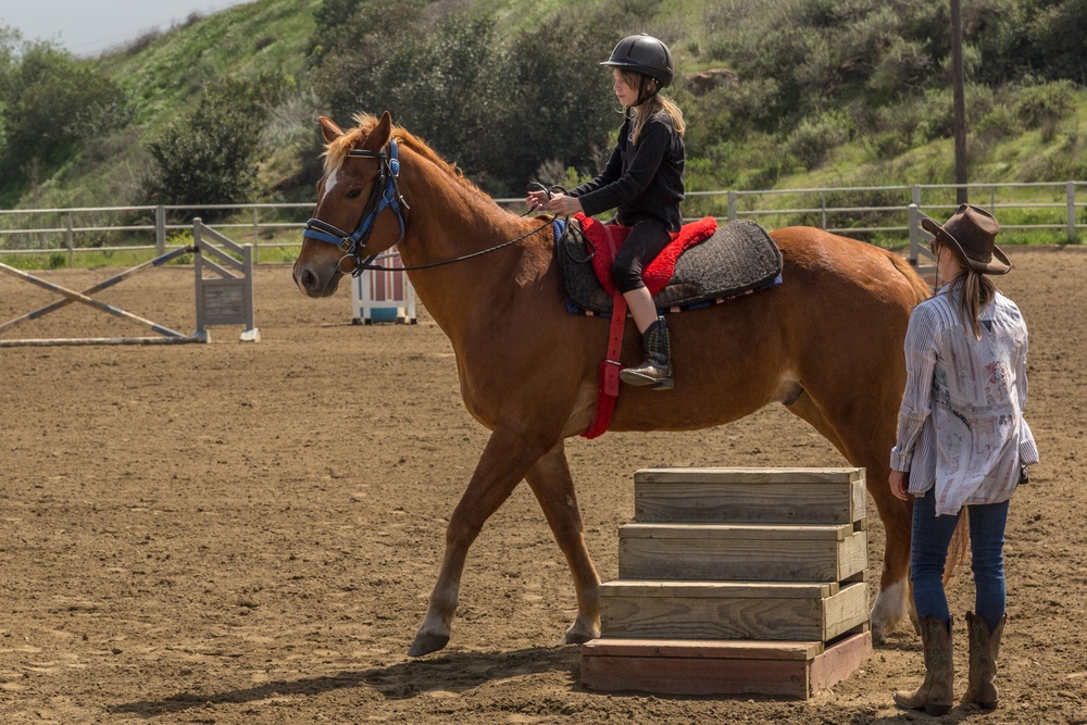 Stepp Stables private lessons