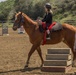 Stepp Stables private lessons