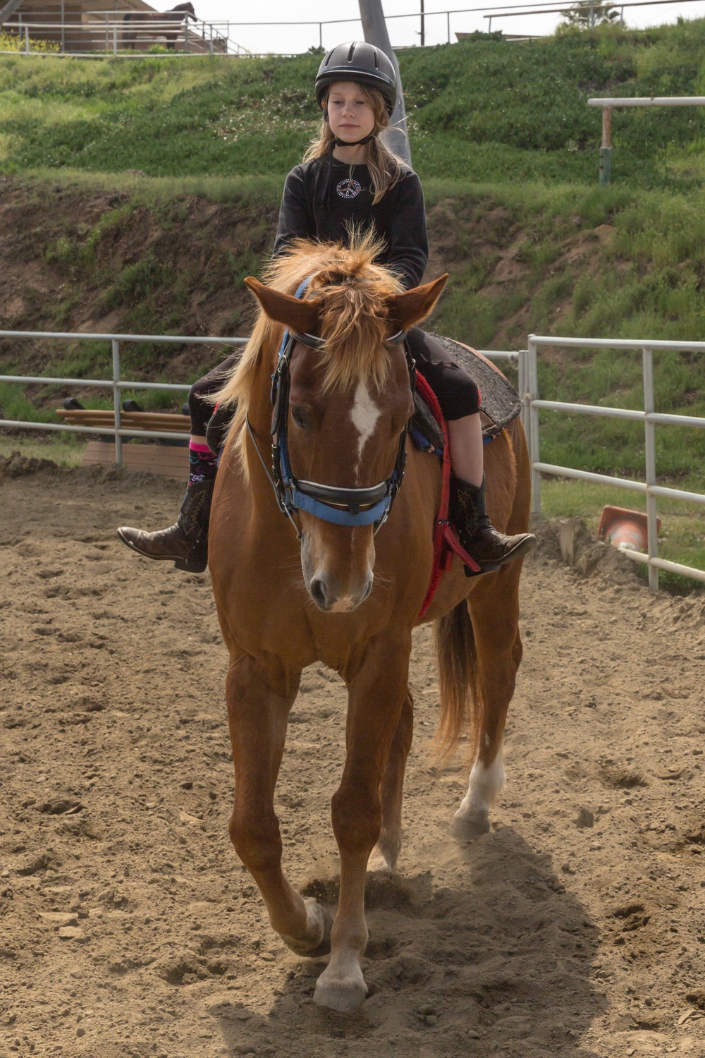 Stepp Stables private lessons