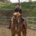 Stepp Stables private lessons