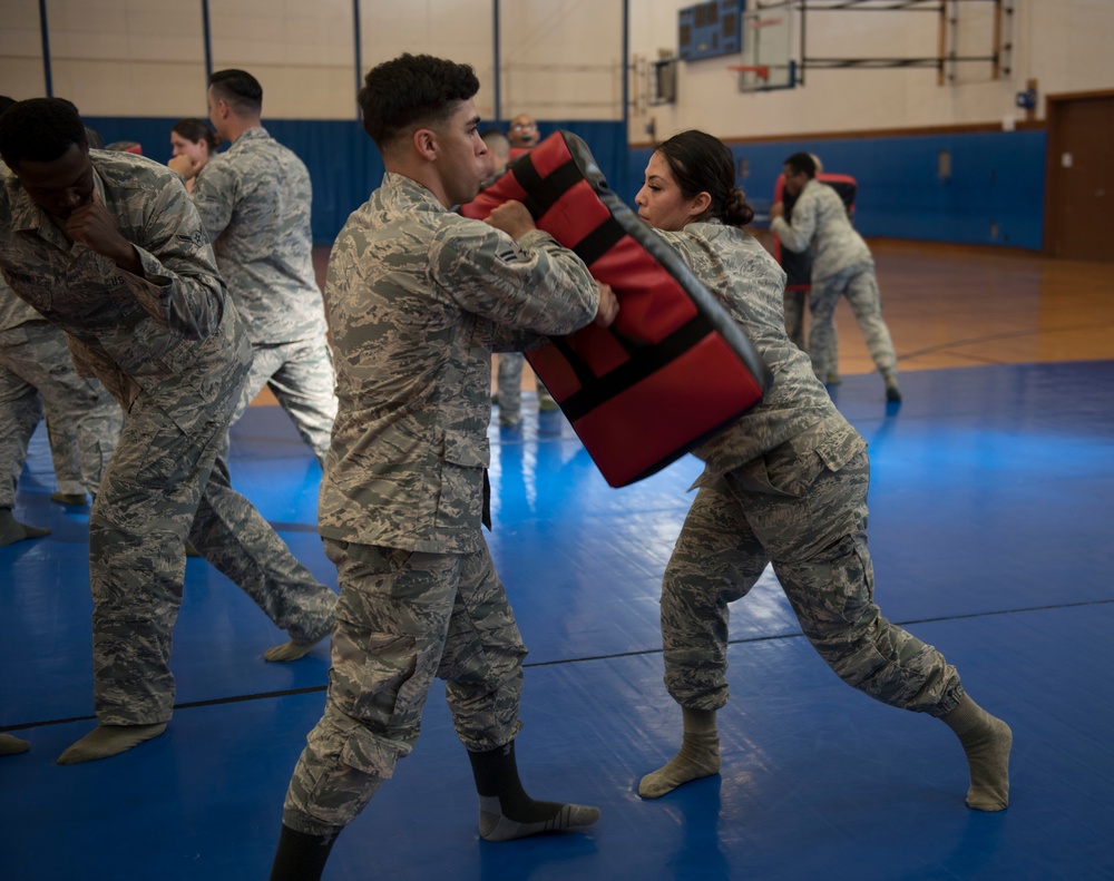 Physically resilient physical training