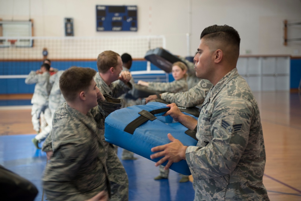 Physically resilient physical training