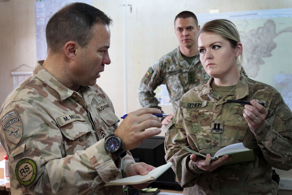 The Strength of Many Nations: Sustainment Operations in Camp Arena