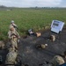 AFNORTH Bn Army Warrior Training