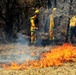 Prescribed burn season under way at Fort McCoy for 2018