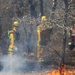 Prescribed burn season under way at Fort McCoy for 2018