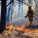 Prescribed burn season under way at Fort McCoy for 2018