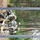 757th Transportation Battalion Soldiers complete obstacle course training in 2015 at Fort McCoy