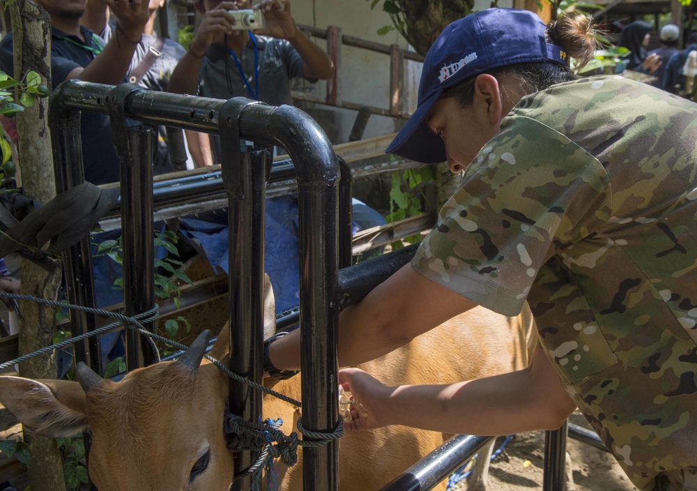 Vet Clinic in Bengkulu Indonesia