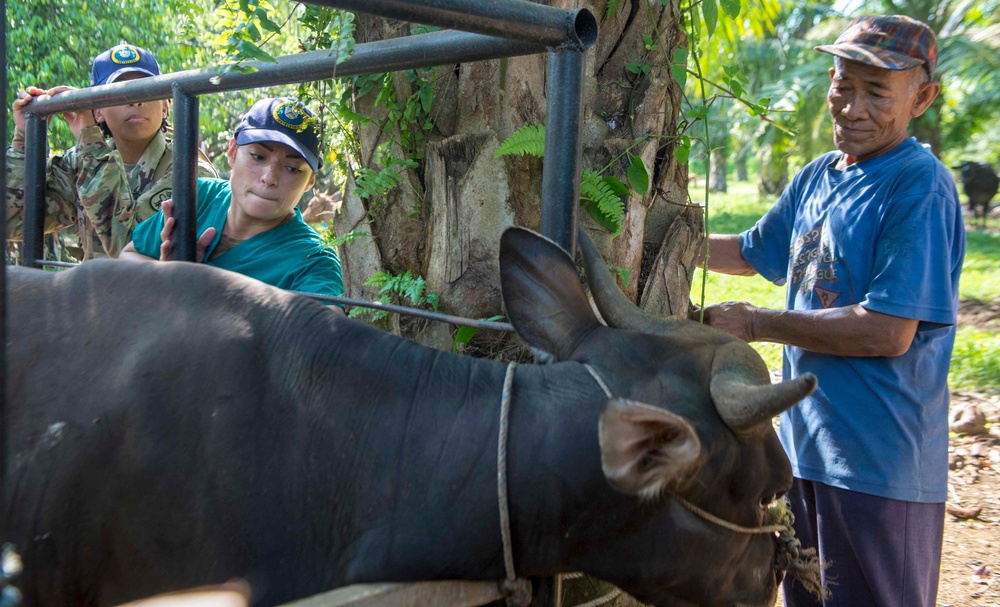 Vet Clinic in Bengkulu Indonesia