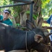 Vet Clinic in Bengkulu Indonesia