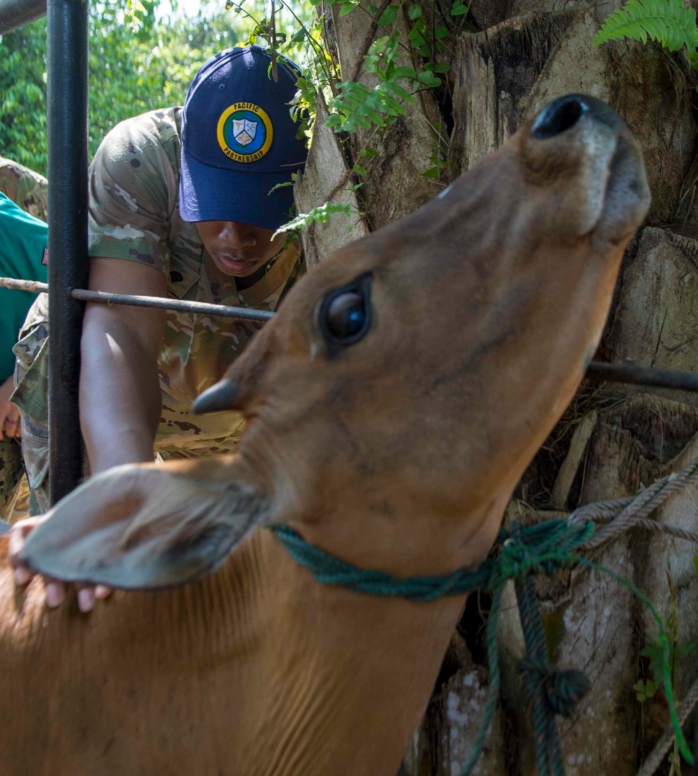 Vet Clinic in Bengkulu Indonesia