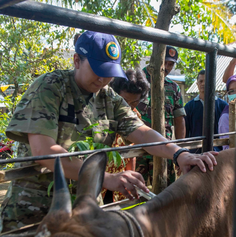 Vet Clinic in Bengkulu Indonesia