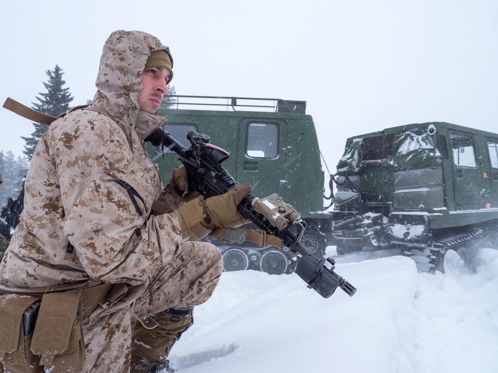 Marines conduct Immediate Action Drills during Winter Sun 18