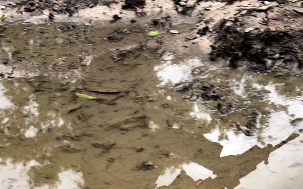 IQT molds BDG Airmen