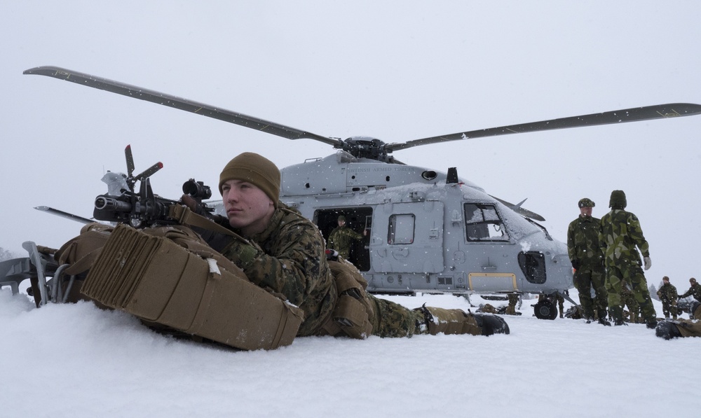 Marines conduct Air Assault training in Exercise Winter Sun 18