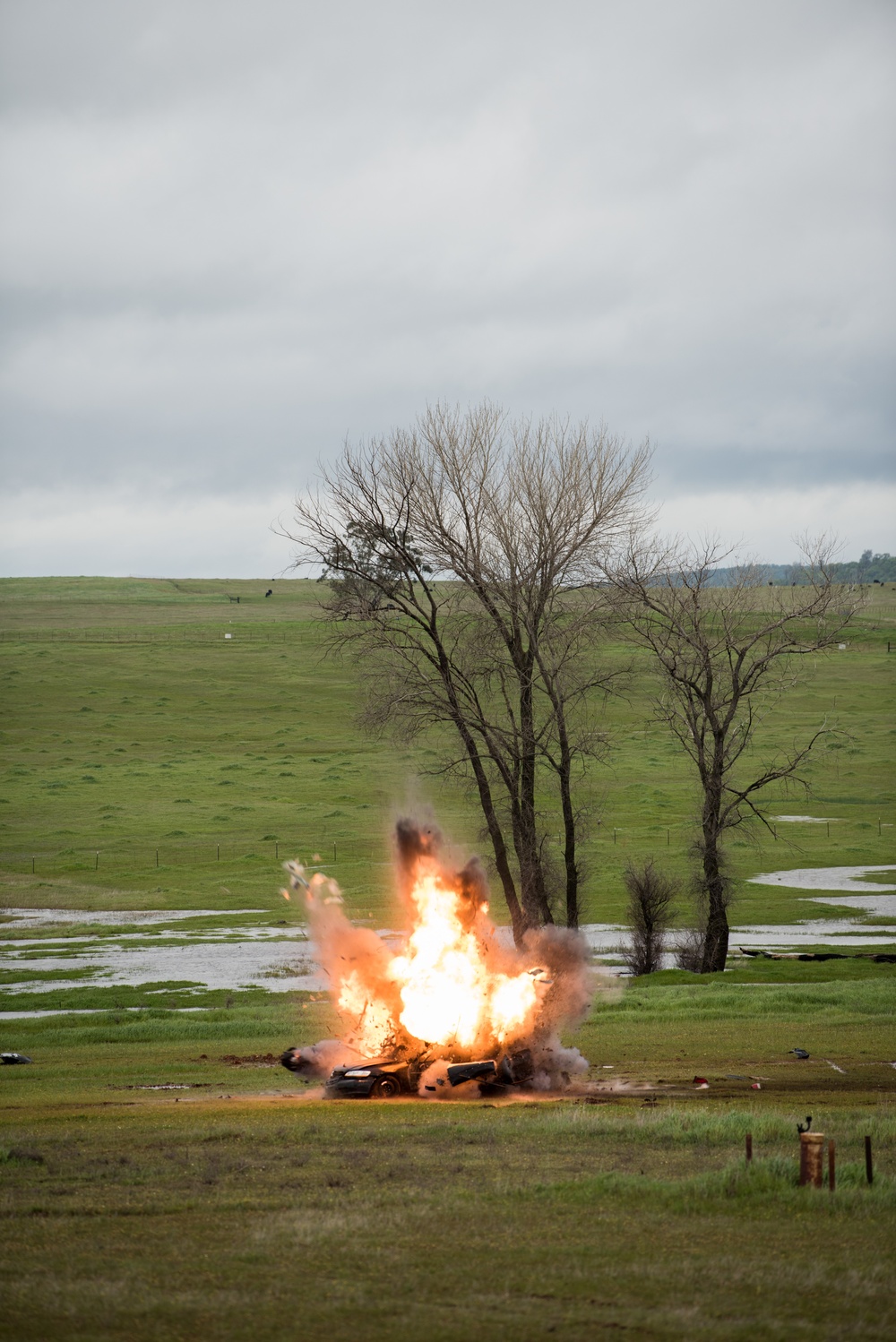 EOD demonstrates capabilities