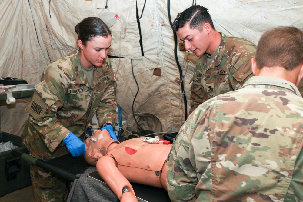 Cobra Cold 18 – Medical Evacuation Training Lane