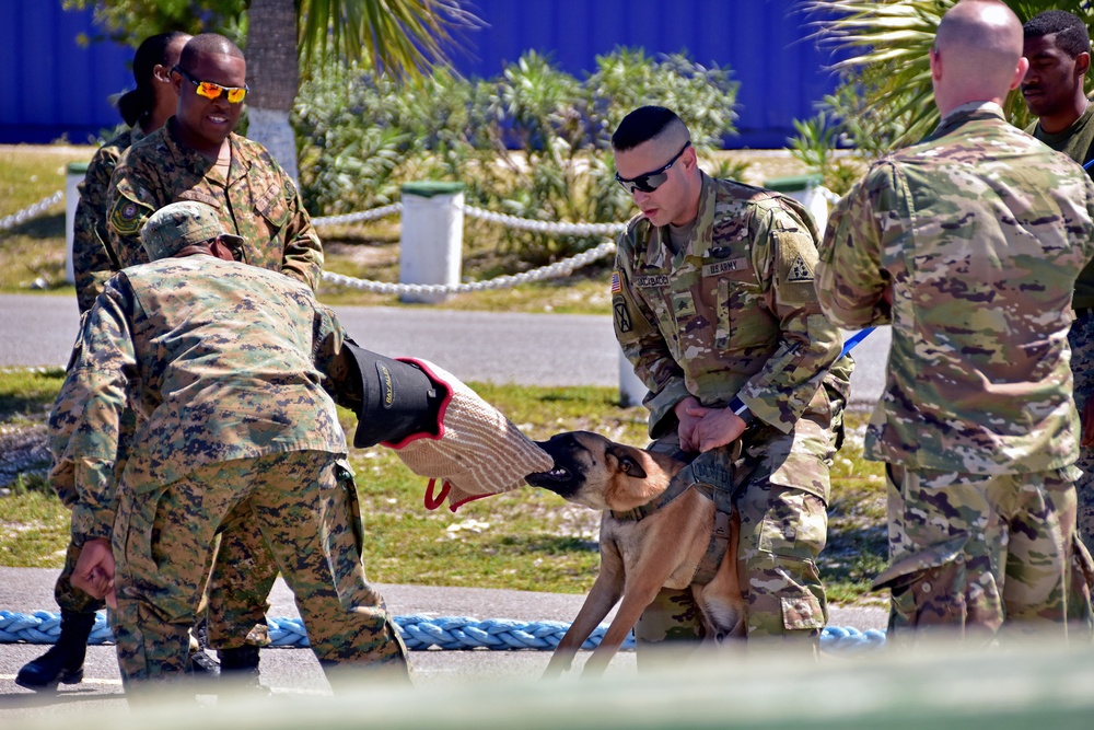 Rhode Island Air National Guard Continues Valuable Partnership with Royal Bahamian Defence Force