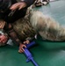 Building confidence, resilience: Fort Carson Soldiers master combatives