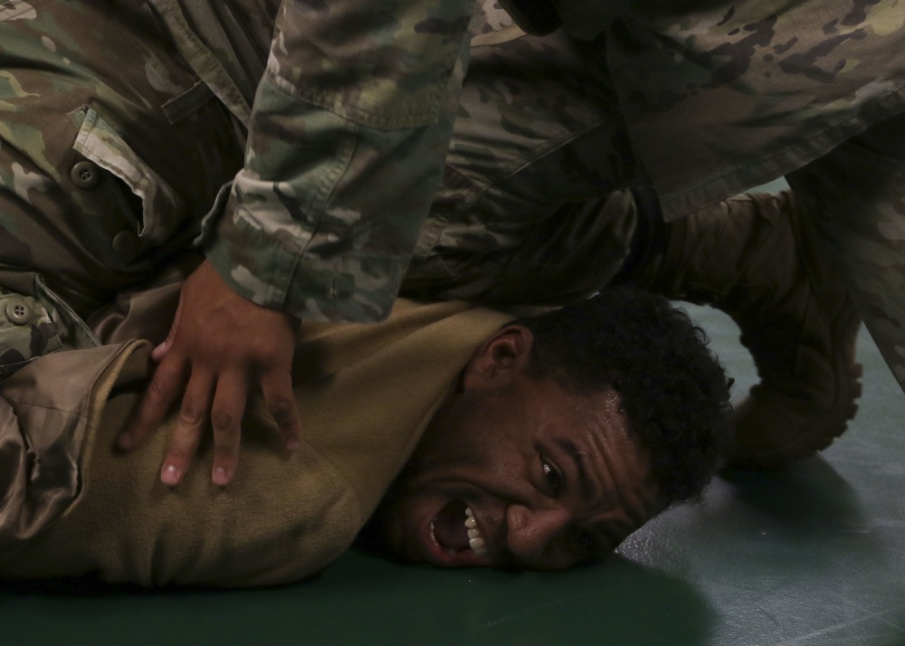 Building confidence, resilience: Fort Carson Soldiers master combatives