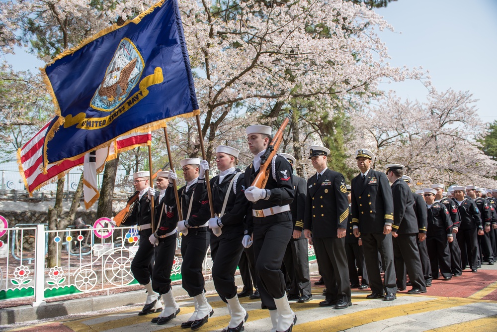 Chinhae Cherry Blossom Festival