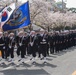 Chinhae Cherry Blossom Festival