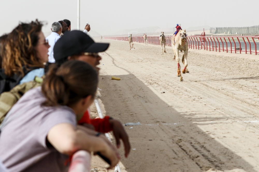 Camel racing, centuries-old cultural tradition and customary pastime