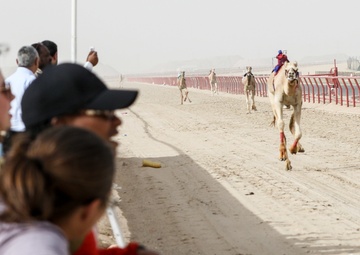 Camel racing, centuries-old cultural tradition and customary pastime