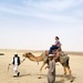 Camel racing, centuries-old cultural tradition and customary pastime