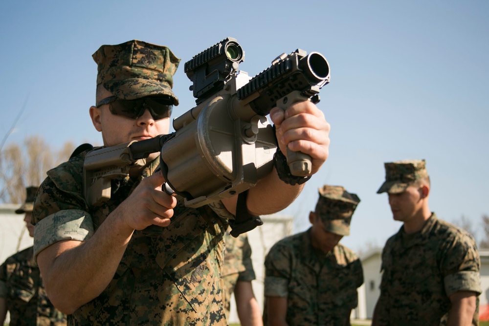 Back to the Basics: BSRF Marines broaden basic skills