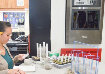 Army supports native forests