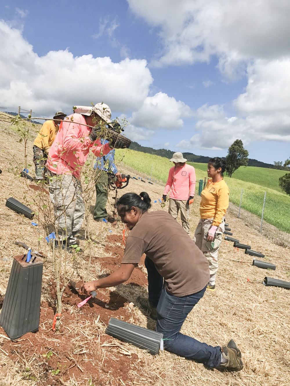 Army supports native forests