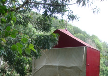 Army supports native forests